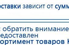 Электрод Скэнар - зонный универсальный ЭПУ-1-1(С) купить в Камышине, Электроды Скэнар купить в Камышине, Скэнар официальный сайт - denasvertebra.ru